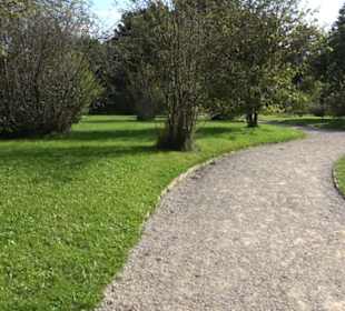 Botanischer Garten München