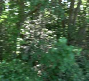 Premiumwanderweg "hochgelegen"