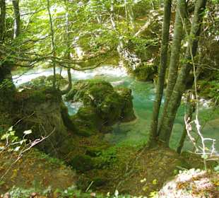 Горный нацпарк Истоки реки Уредерра, Наварра