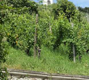 Beliebtes Ausflugsziel hoch zur Kapelle