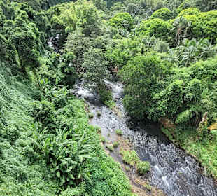 Geführte Touren Andrea Rodrige