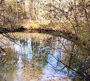 Wandern Grünau im Almtal