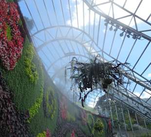 Stadtrundgang Sydney