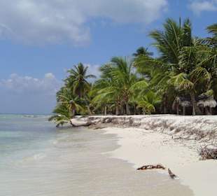 Saona