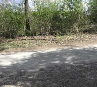 Wanderweg Hochgehwachsen