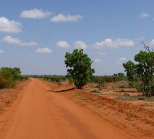 Ist die rote Erde nicht klasse?