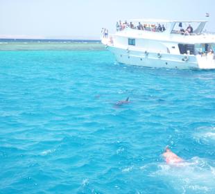 Schnorcheltripp am Strand bei Abdul gebucht
