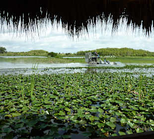 Airboat-Tour