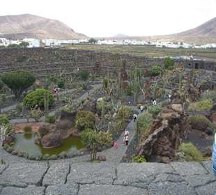 Ausblick von oben über den Garten