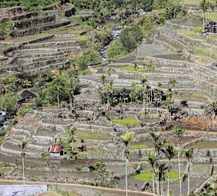 Reisterrassen Hungduan