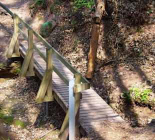 Die Bitterbachschlucht