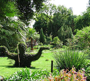 Botanischer Garten Gardone