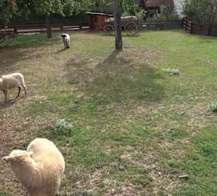 Erlebnispark Tripsdrill