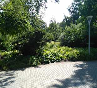 Spaziergang durch Park