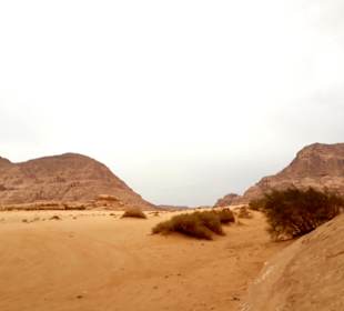 Wüstenlandschaft Wadi Rum