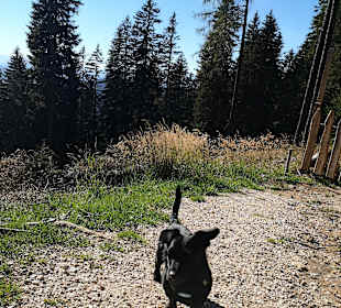 Wandern Nova Levante / Welschnofen