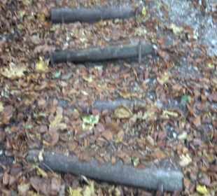 Premiumwanderweg hochgehkeltert Neuffen