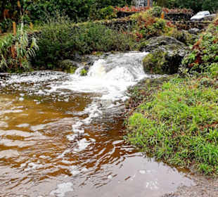 Inselrundfahrt Faial