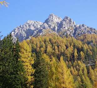 Schöner Blick