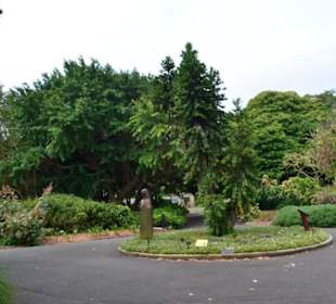Botanischer Garten 