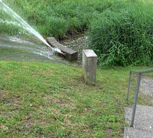 Forellenbächle Glacis Park