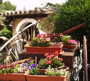 Restaurante Rancho La Romana