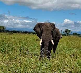 Hatte keine gute Laune