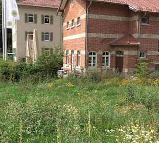 Biosphärenzentrum Schwäbische Alb Auingen