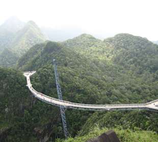 The Bridge