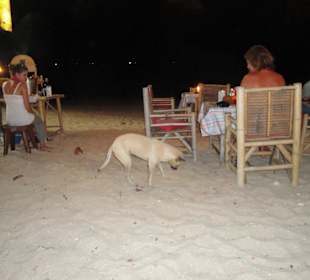 Mit Weindegustation am Eingang