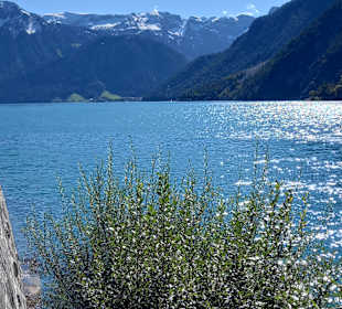 Achensee