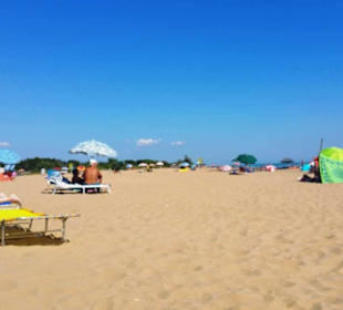 Im Vergleich der freie Hundestrand