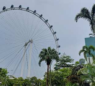 Singapore Flyer