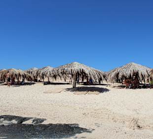 Paradise - wycieczka