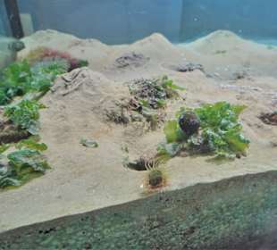 Impressionen aus dem Nationalpark-Haus