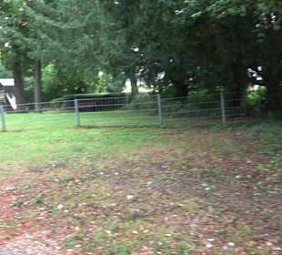 Park an der Wilhelmshöhe