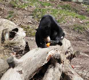 ZOO Jihlava