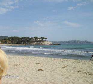 Strandbucht von Paguera