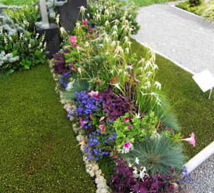 Blumenanlage