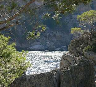 Am Torrent de Pareis