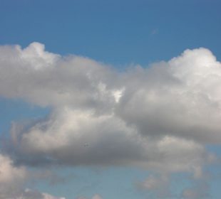 unsere Hafenrundfahrt