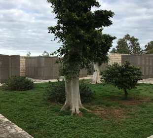 Soldatenfriedhof Bordj Cedria