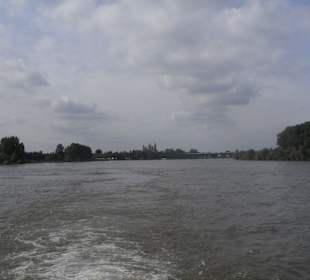 Der Dom
