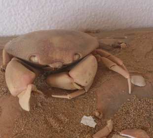 Fahrradausflug in die Wüste