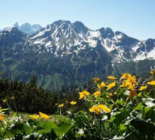 Kleinwalsertal mit Kanzlerwand und Fellhorn