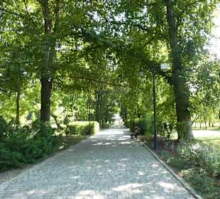 Museum und Park von Jan Kochanowski