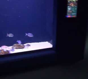 Palma Aquarium