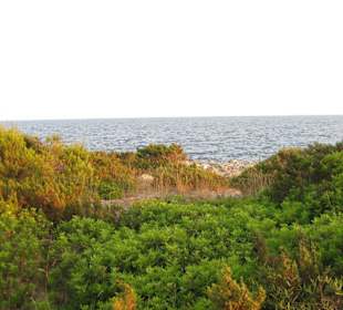 Naturschutzgebiet zwischen Sa Coma und Cala Millor