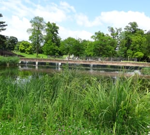 Höhenpark Killesberg