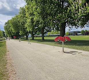 Fitnessgeräte am Streetballplatz